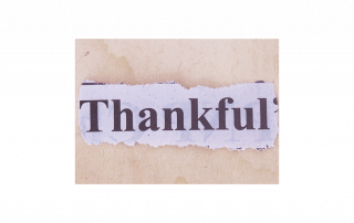 Thankful - Let Your Donors Know