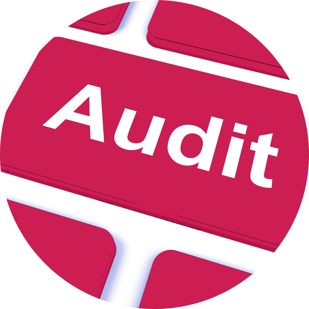 Nonprofit Audit