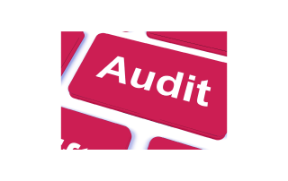 Nonprofit Audit