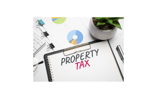 Business Property Tax Listing