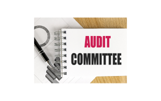 Audit Committee