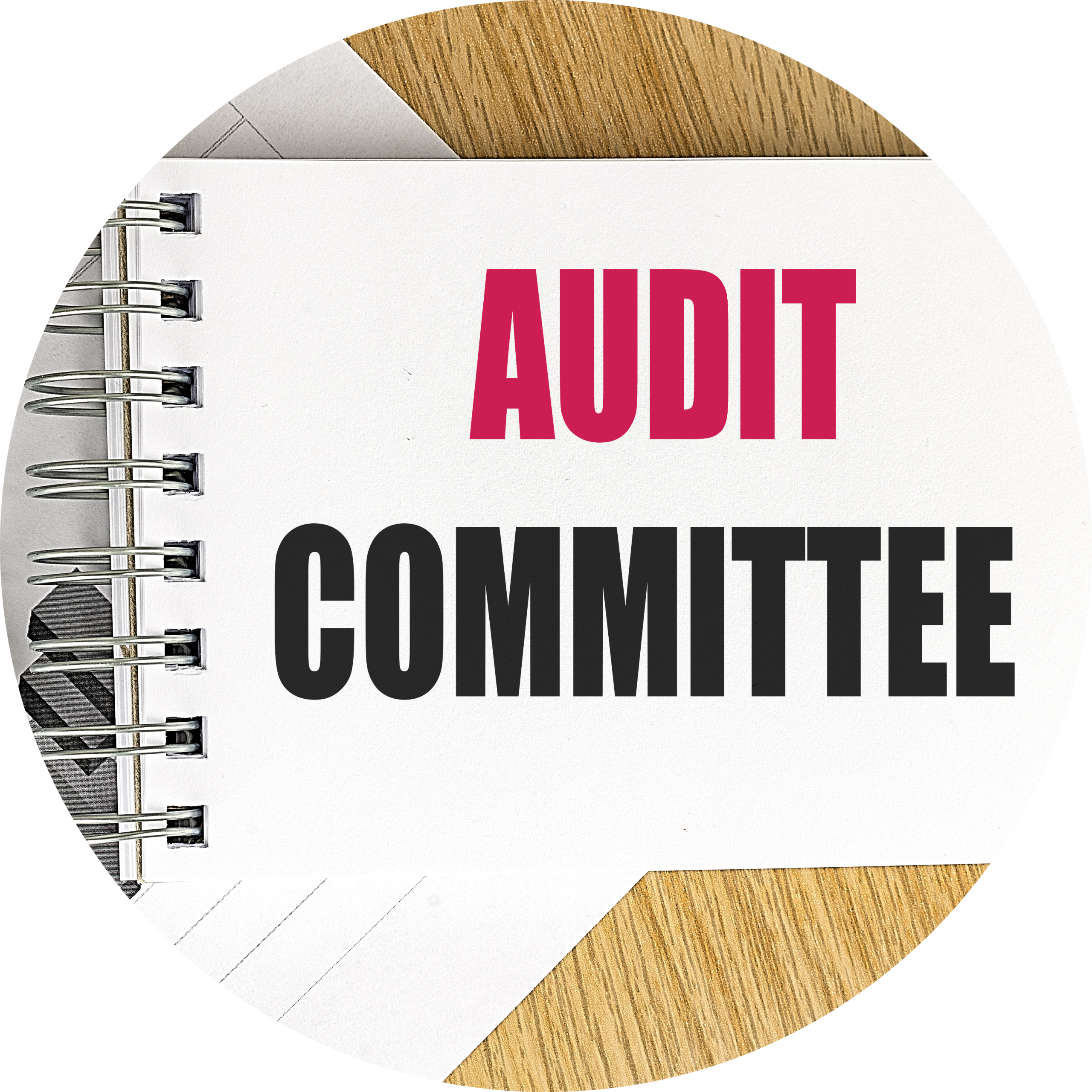 Audit Committee