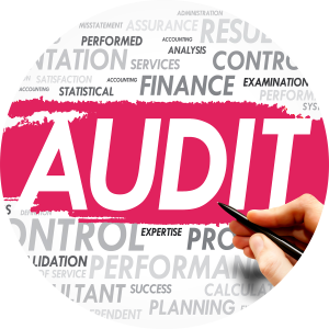 IRS Compliance Audit