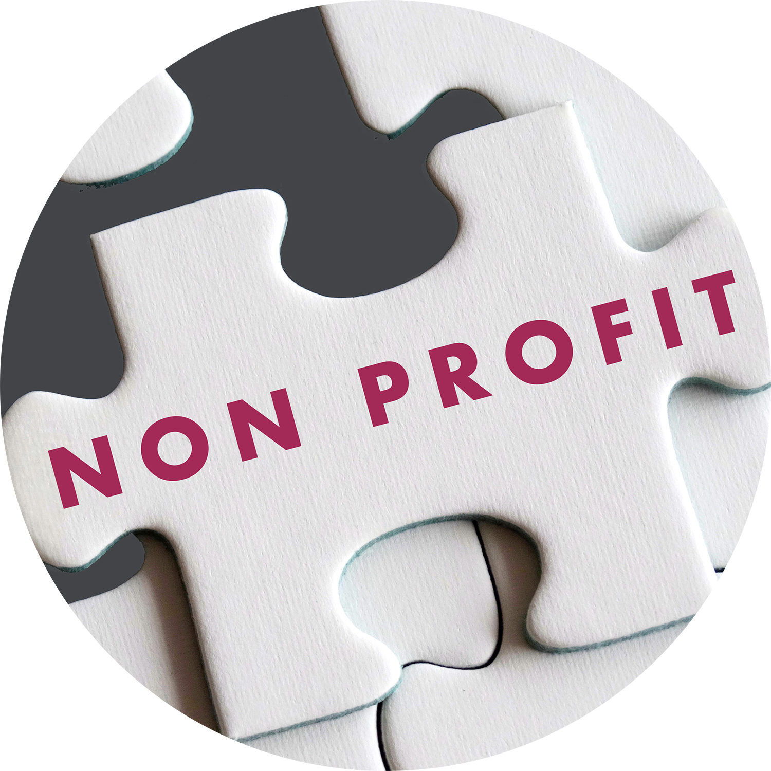 Non profit opportunities and priorities
